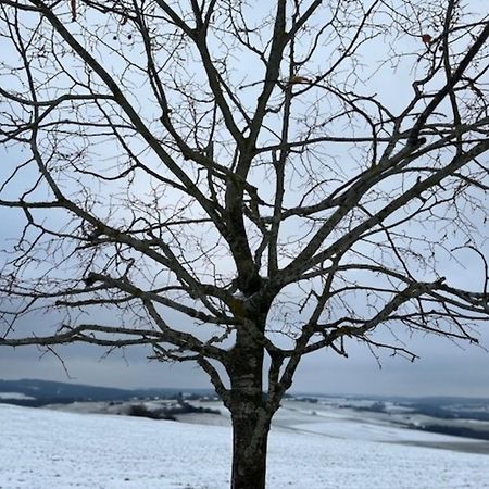 Eifel-Bau-Traum Schlich Villa Wershofen Eksteriør billede